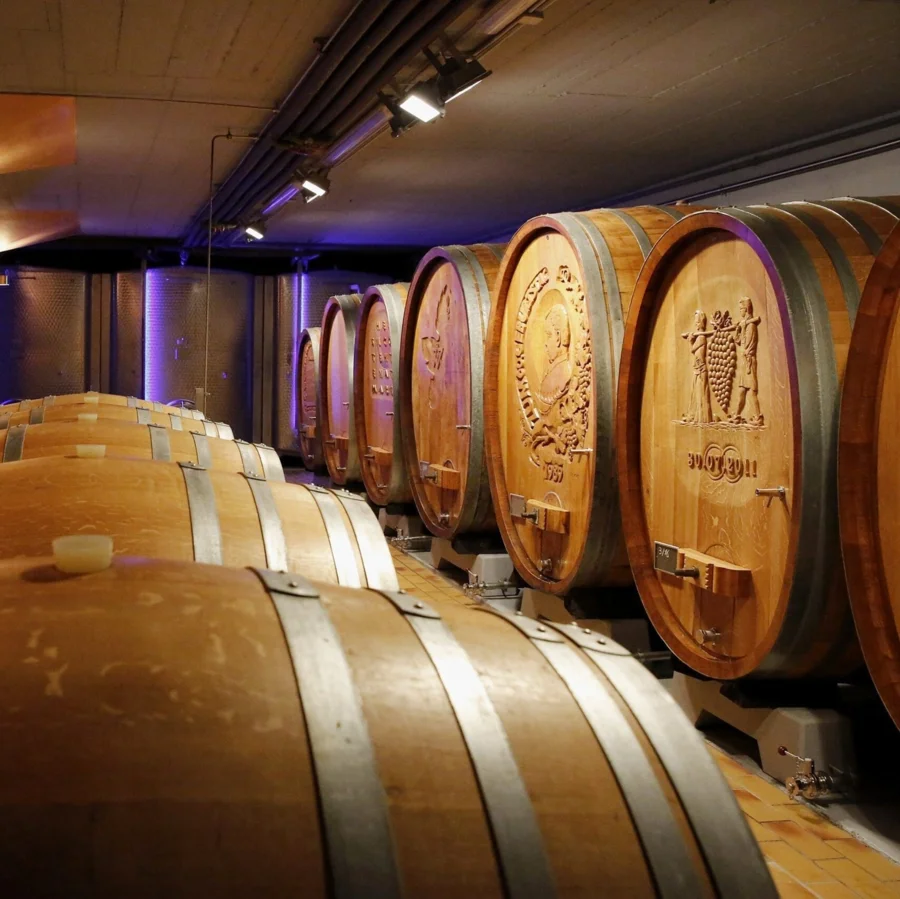 Estrella Damm ThekenTickeraktion 02/2026 | Drinkport